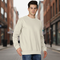 Men’s Classic Crewneck Sweatshirt in Beige